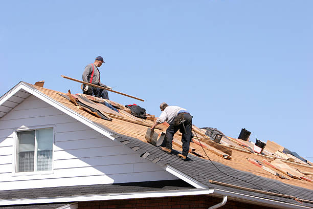 Best Roof Insulation Installation  in Carbondale, IL